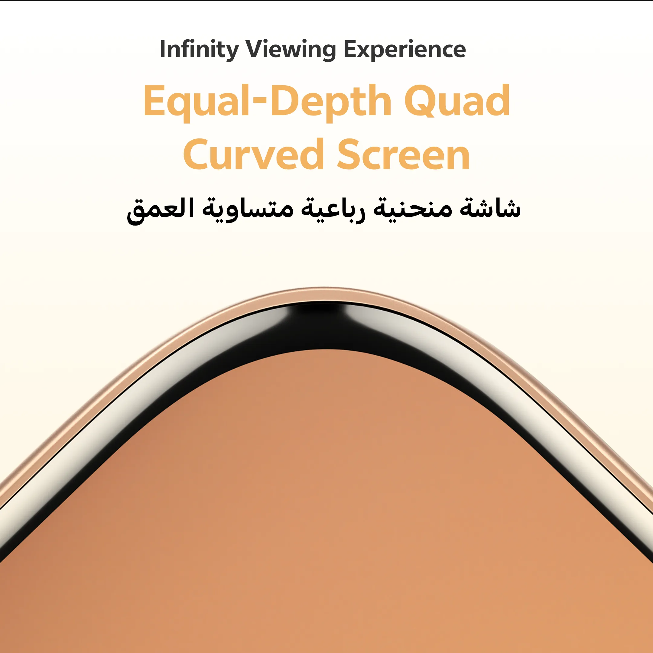 vivo V60 5G Gray 12GB+256GB_16